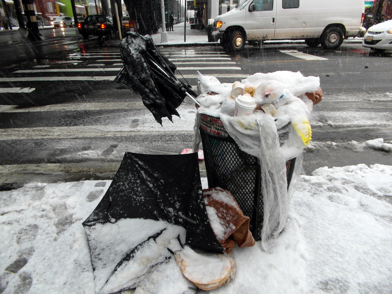 Discarded Umbrella Carcasses, NYC