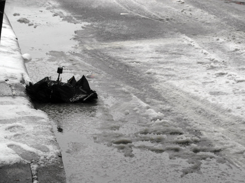 Discarded Umbrella Carcasses, NYC