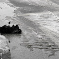 Discarded Umbrella Carcasses, NYC