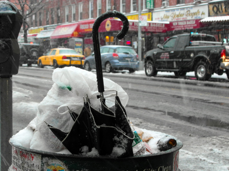 Discarded Umbrella Carcasses, NYC