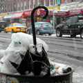 Discarded Umbrella Carcasses, NYC