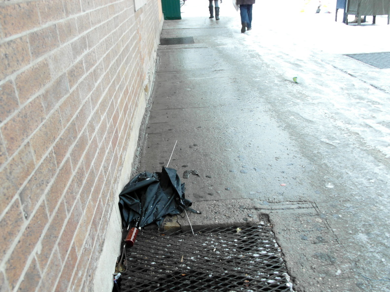 Discarded Umbrella Carcasses, NYC