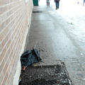 Discarded Umbrella Carcasses, NYC