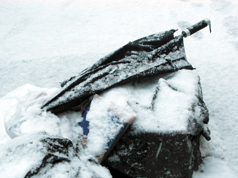 Discarded Umbrella Carcasses, NYC