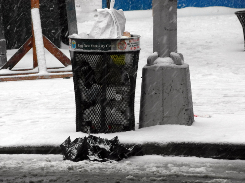 Discarded Umbrella Carcasses, NYC