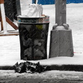 Discarded Umbrella Carcasses, NYC