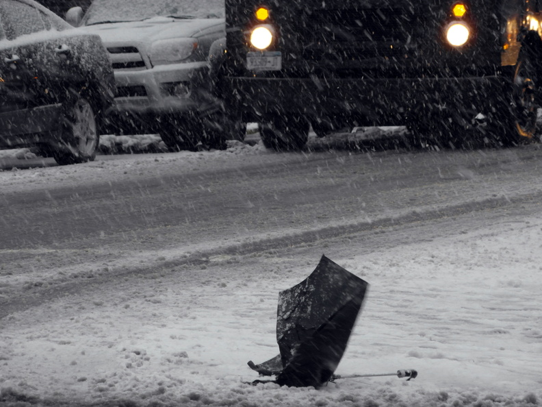 Discarded Umbrella Carcasses, NYC