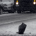 Discarded Umbrella Carcasses, NYC