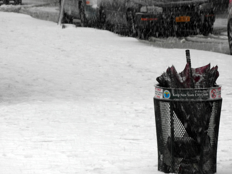 Discarded Umbrella Carcasses, NYC