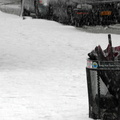 Discarded Umbrella Carcasses, NYC