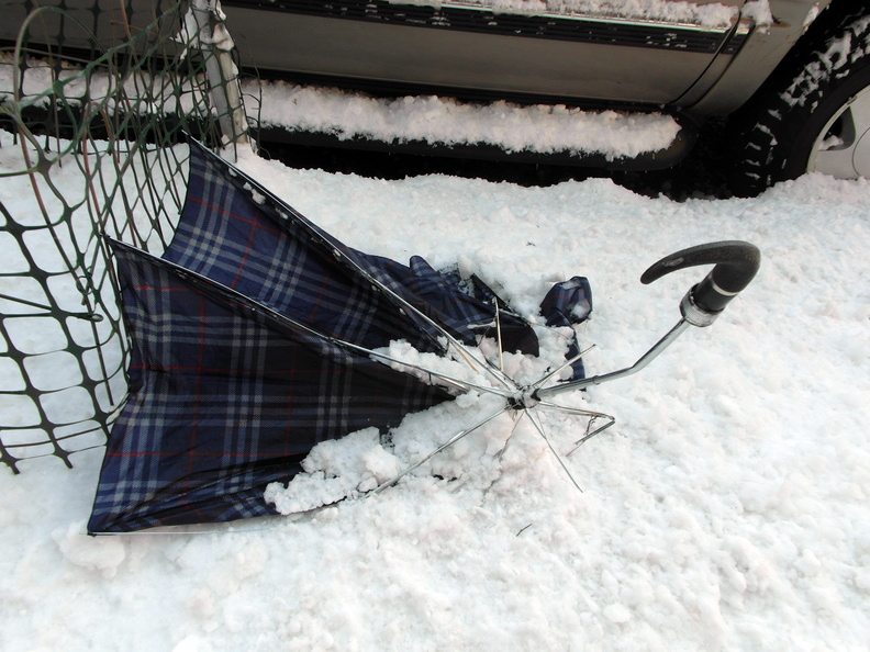 Discarded Umbrella Carcasses, NYC