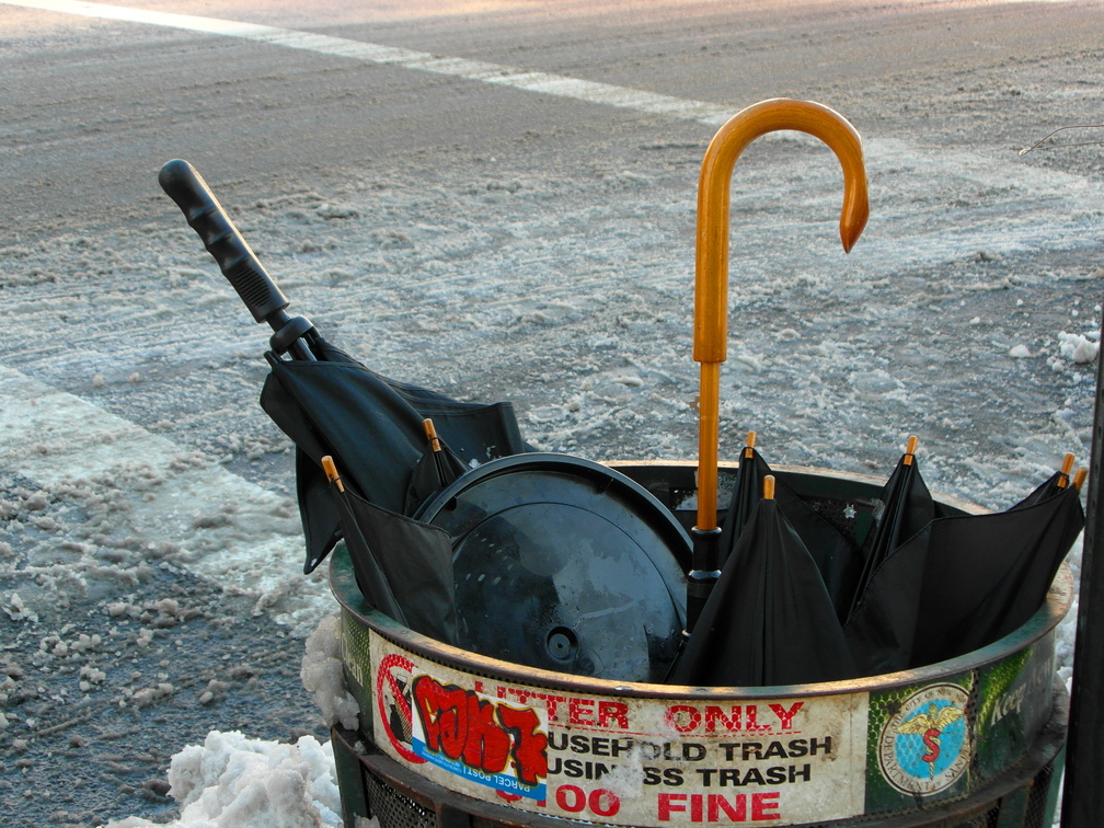 Discarded Umbrella Carcasses, NYC