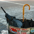 Discarded Umbrella Carcasses, NYC