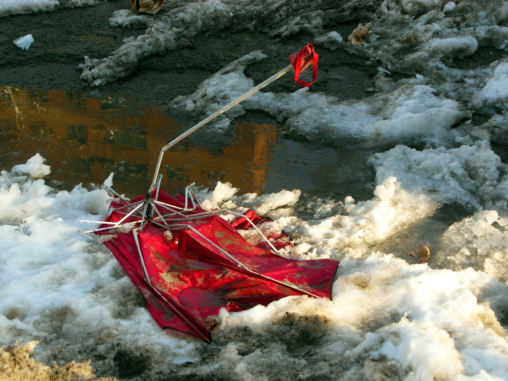 Discarded Umbrella Carcasses, NYC