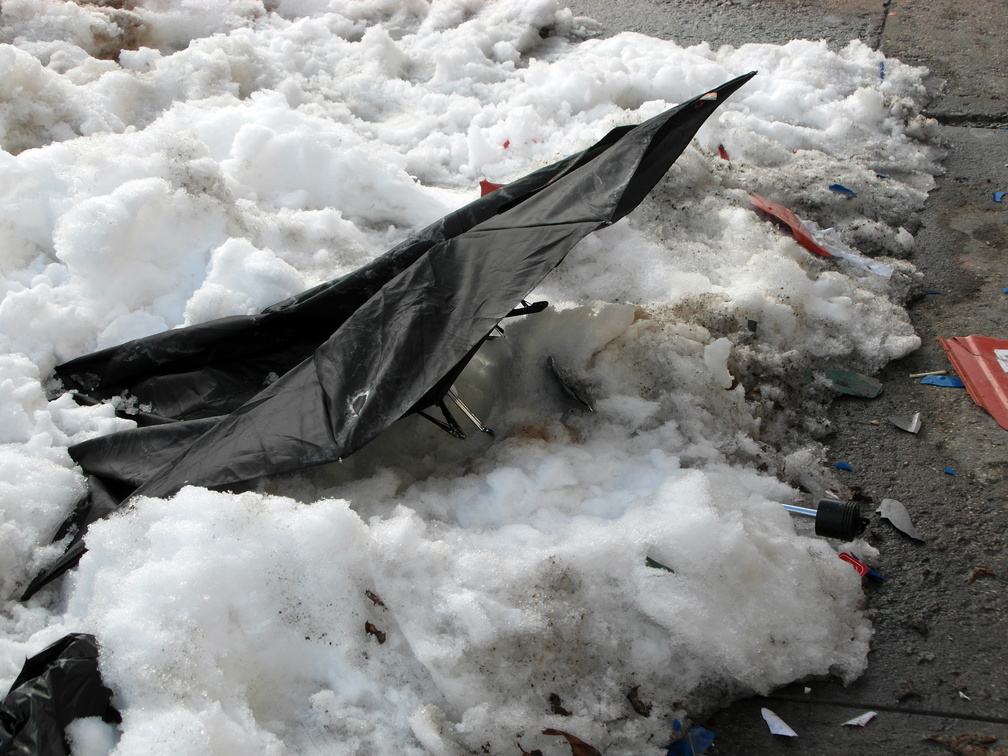 Discarded Umbrella Carcasses, NYC