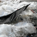 Discarded Umbrella Carcasses, NYC