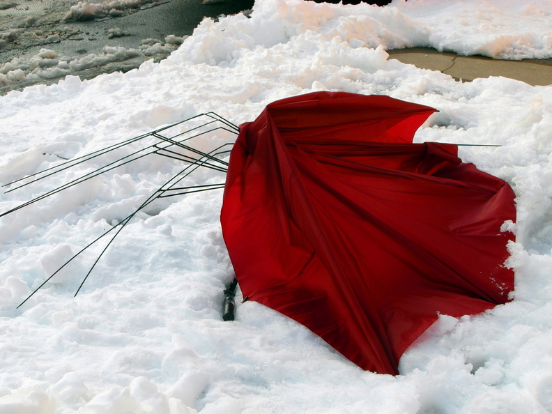 Discarded Umbrella Carcasses, NYC