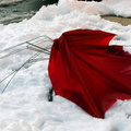 Discarded Umbrella Carcasses, NYC