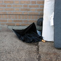 Discarded Umbrella Carcasses, NYC