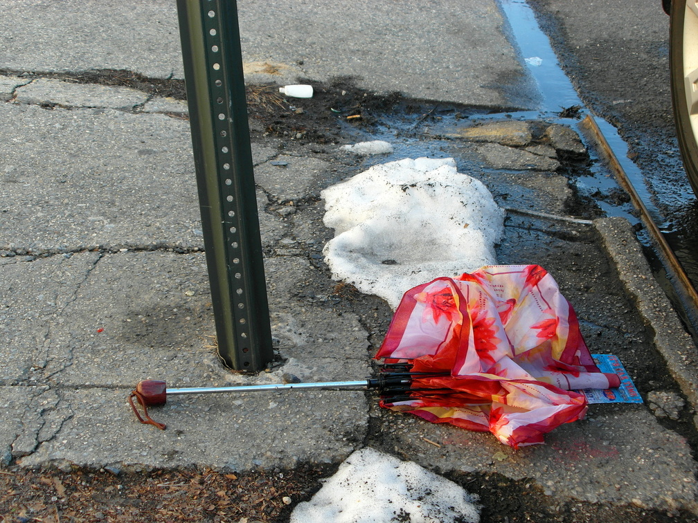 Discarded Umbrella Carcasses, NYC