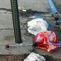 Discarded Umbrella Carcasses, NYC