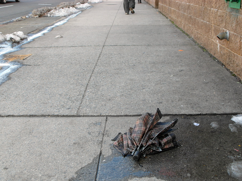 Discarded Umbrella Carcasses, NYC