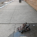 Discarded Umbrella Carcasses, NYC