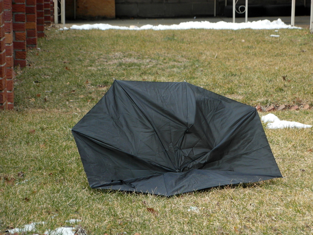 Discarded Umbrella Carcasses, NYC