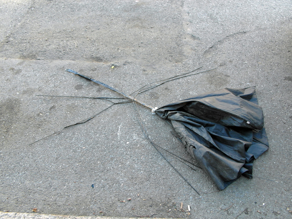 Discarded Umbrella Carcasses, NYC