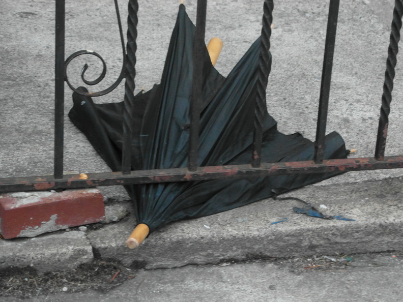 Discarded Umbrella Carcasses, NYC