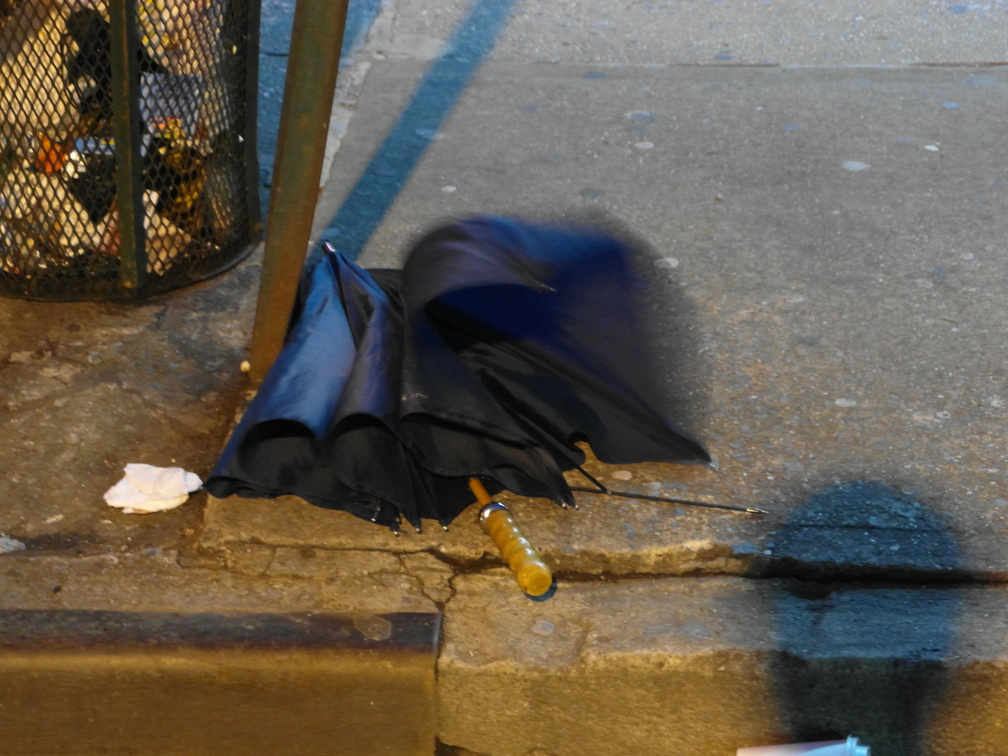 Discarded Umbrella Carcasses, NYC