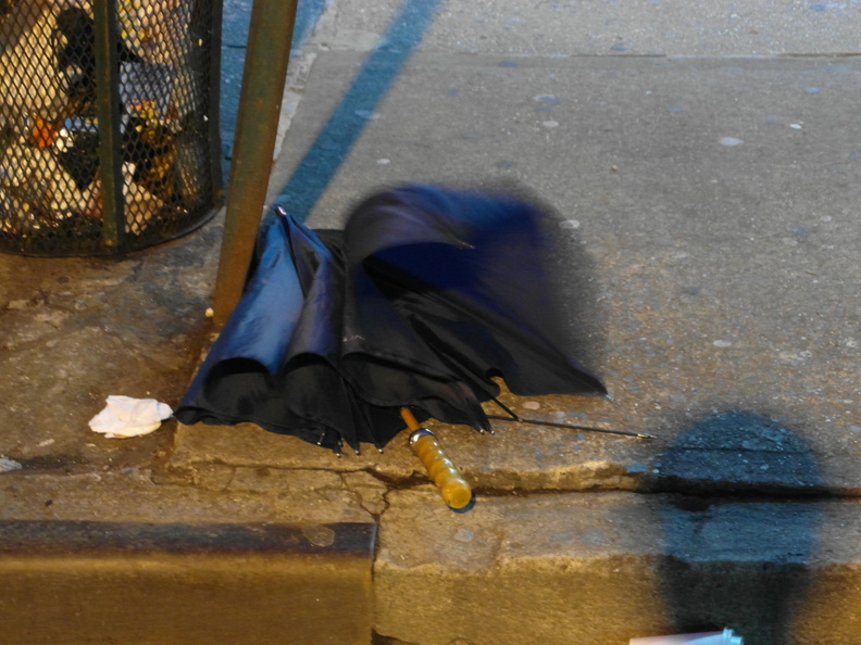 Discarded Umbrella Carcasses, NYC