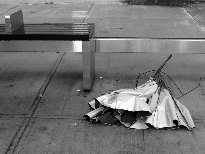 Discarded Umbrella Carcasses, NYC