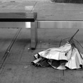 Discarded Umbrella Carcasses, NYC