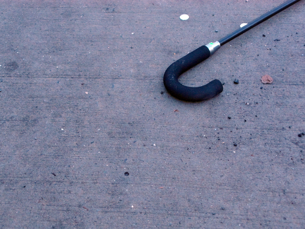 Discarded Umbrella Carcasses, NYC