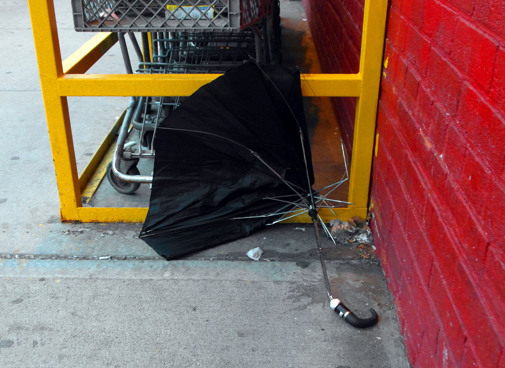 Discarded Umbrella Carcasses, NYC