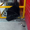 Discarded Umbrella Carcasses, NYC