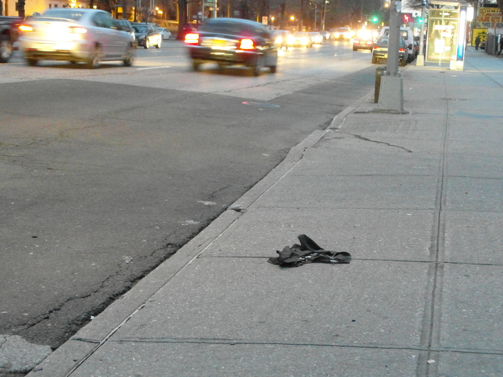 Discarded Umbrella Carcasses, NYC