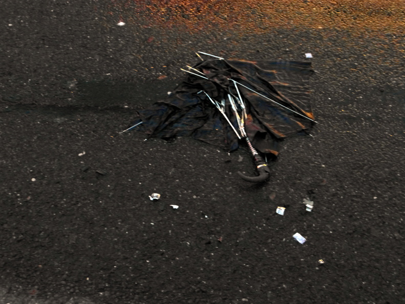 Discarded Umbrella Carcasses, NYC