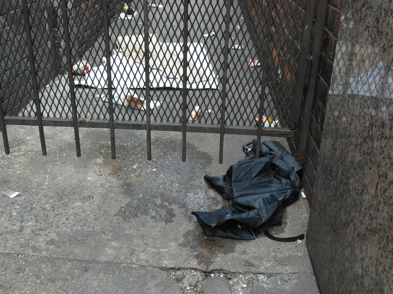 Discarded Umbrella Carcasses, NYC