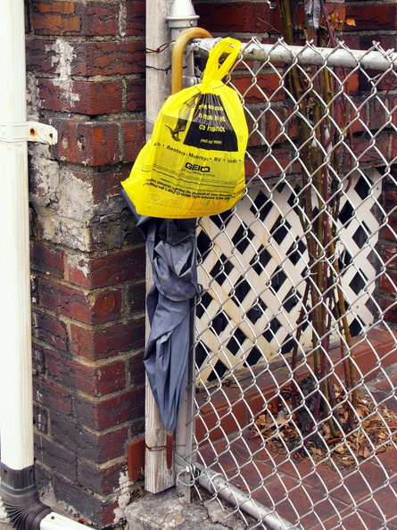 Discarded Umbrella Carcasses, NYC