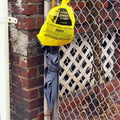 Discarded Umbrella Carcasses, NYC