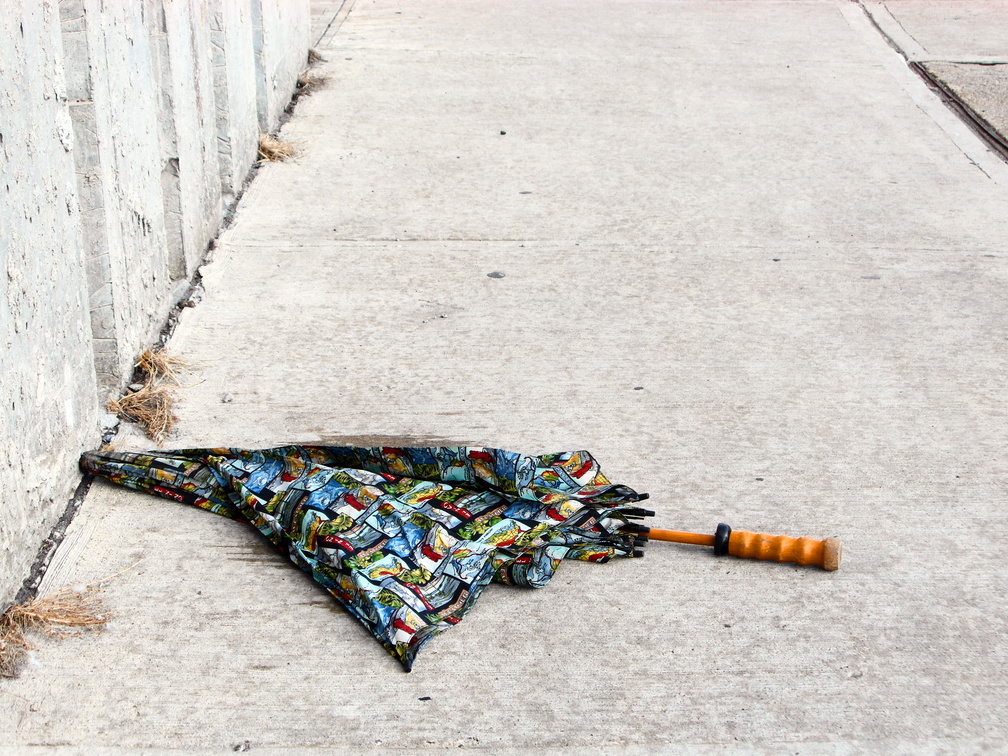 Discarded Umbrella Carcasses, NYC