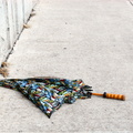 Discarded Umbrella Carcasses, NYC