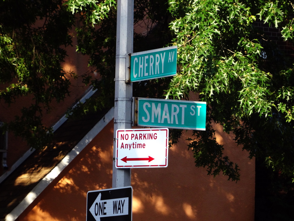 A SMART CHERRY.  Flushing, Queens. August, 2016.