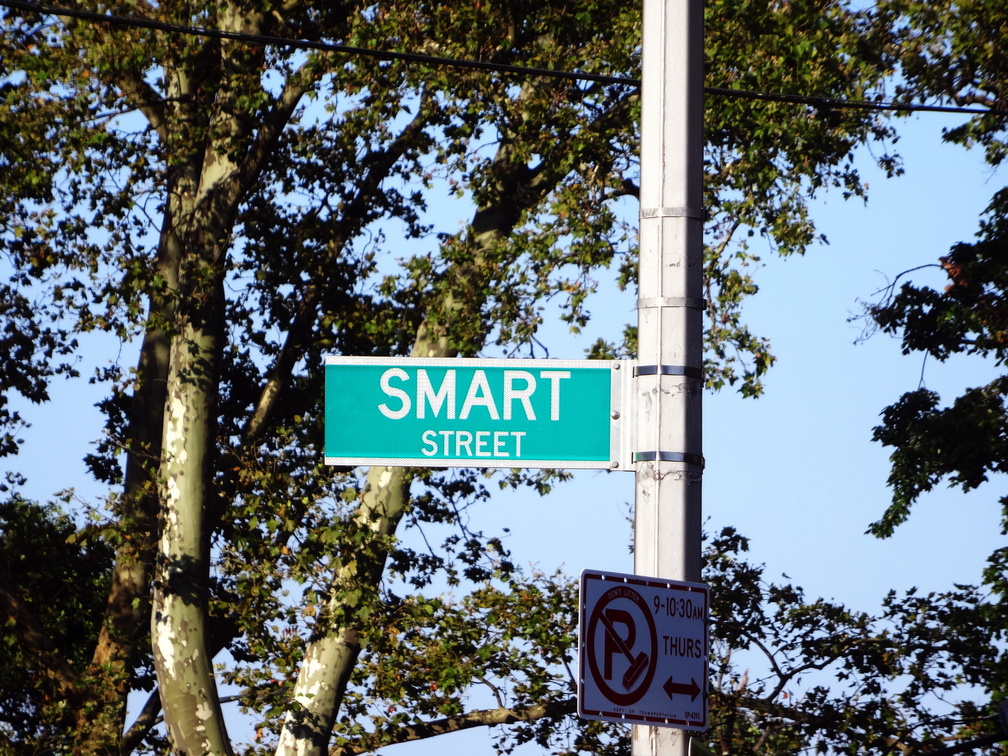 SMART Street.  Flushing, Queens. August, 2016.