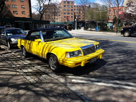 Rambles Through Astoria, Queens. April 1 & 2, 2020