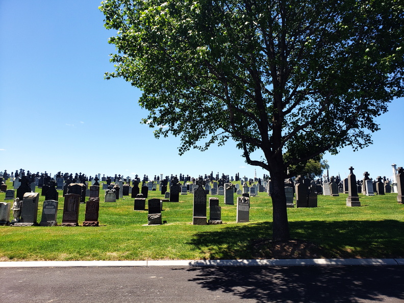 48-Calvary_Cemetery_Post_Covid_20200531_135101.jpg