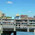 Coney Island, Brooklyn. August 6, 2002.