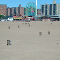 Coney Island, Brooklyn. August 6, 2002.